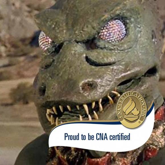 Meet your Posher, Traci - Picture 1 of 1